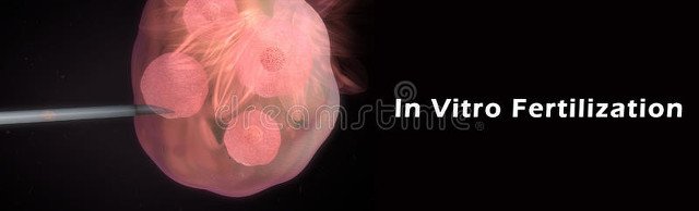 格鲁吉亚试管婴儿费用_试管婴儿治疗费用_试管婴儿技术成功率