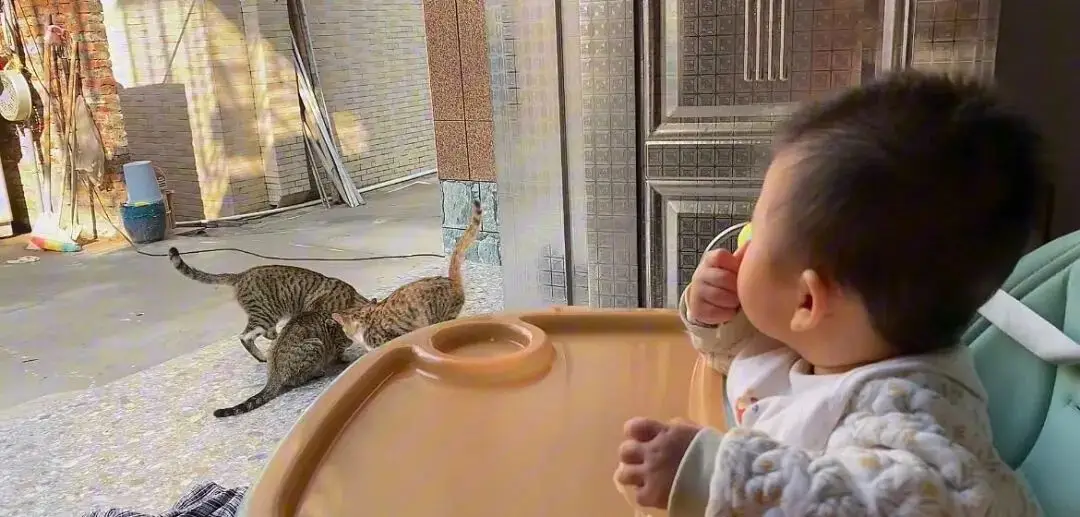 单亲妈妈合租生活_单亲妈妈搭伙过日子_单身男性生子