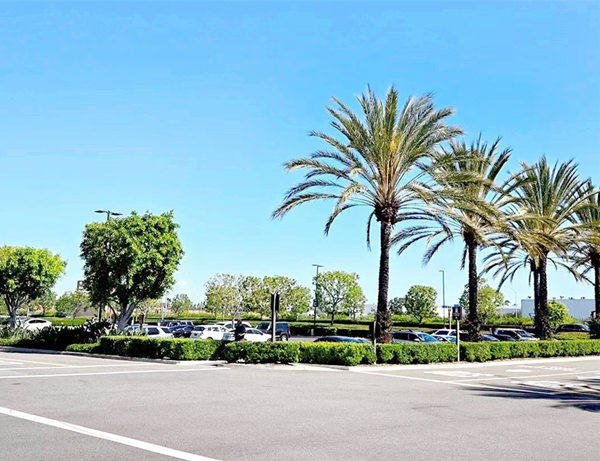 美国生子孕晚期的四大注意事项