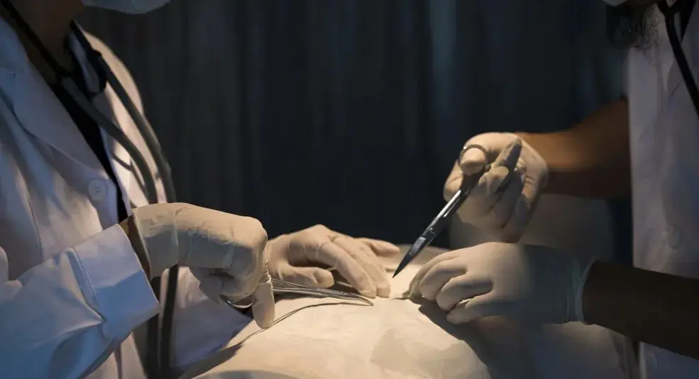 格鲁吉亚代孕诈骗_泰国女子被困卵子农场_格鲁吉亚代孕多少钱