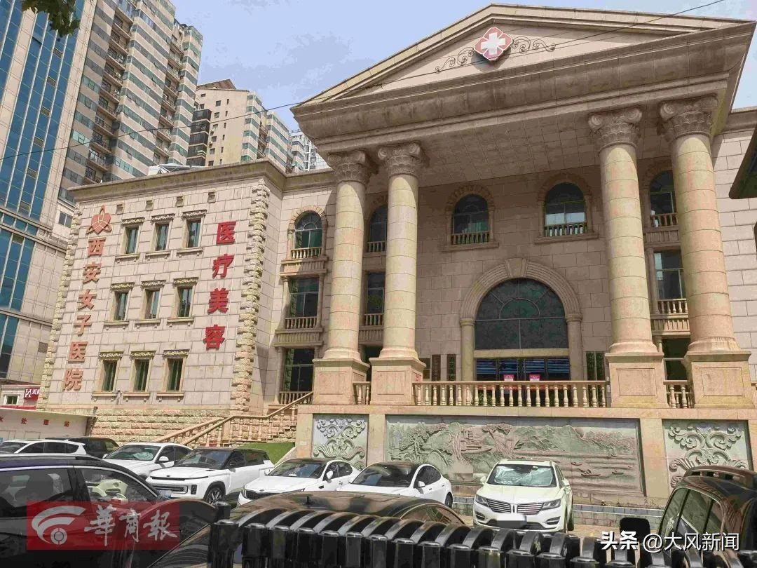 格鲁吉亚代孕案例_非法代孕试管婴儿_试管婴儿黑中介