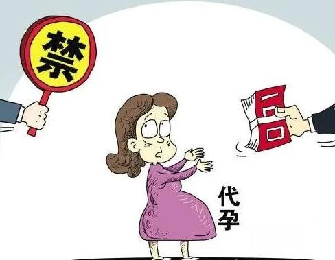 代孕黑色产业链揭秘_代孕违法原因_格鲁吉亚代孕