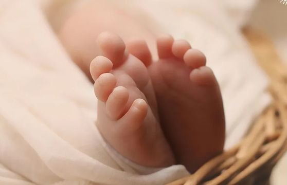 格鲁吉亚促排卵药物费用全透视：一位助孕顾问的深夜坦白