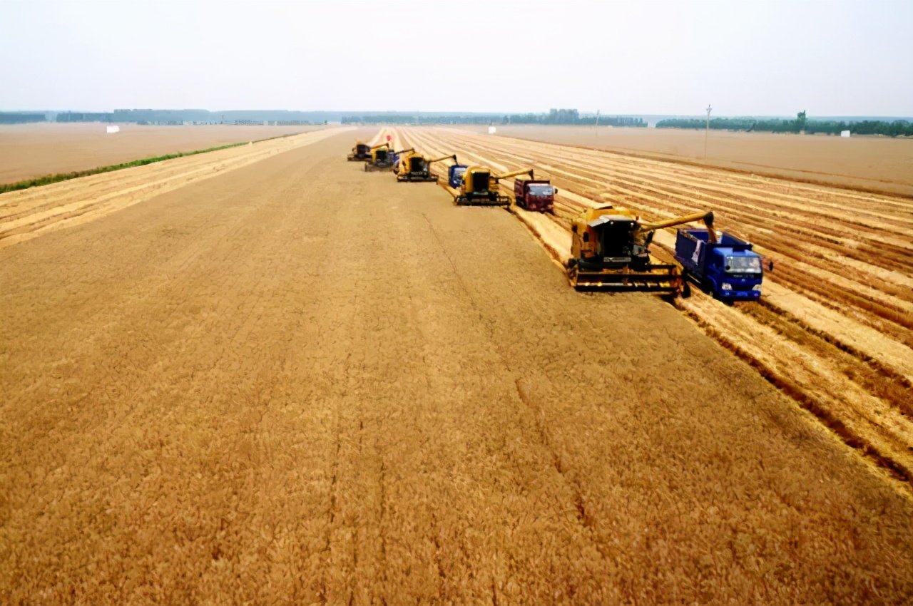 乌克兰民族构成_乌克兰美女特征_格鲁吉亚代孕合法吗