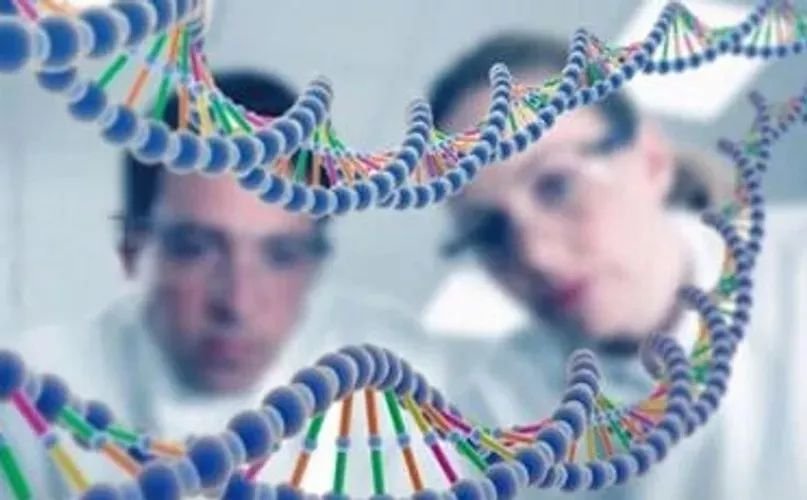 乌克兰美女特征_乌克兰民族构成_格鲁吉亚代孕合法吗