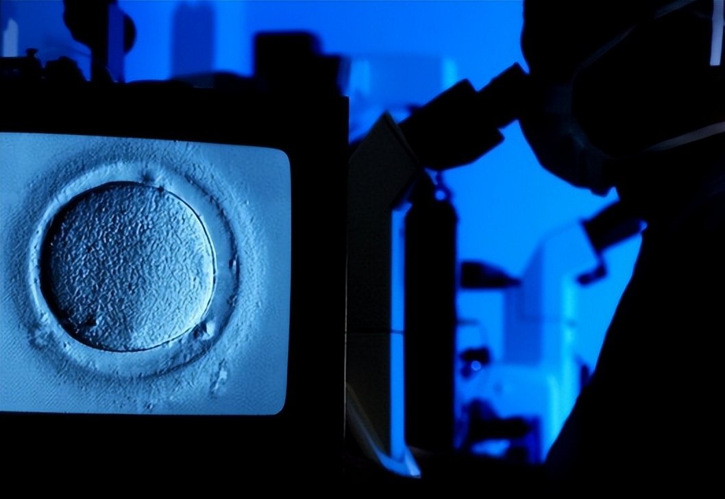 格鲁吉亚试管医院排名_第三代试管婴儿技术_辅助生殖技术整合服务