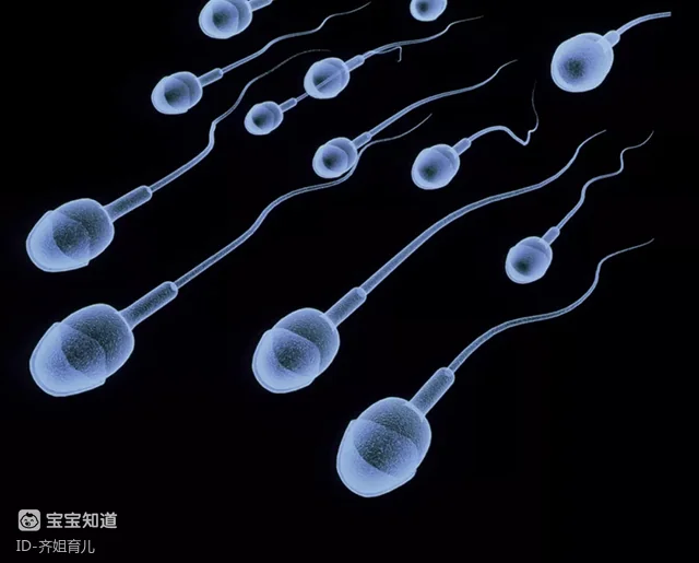 输卵管堵塞做试管婴儿_格鲁吉亚助孕流程_试管婴儿适应症