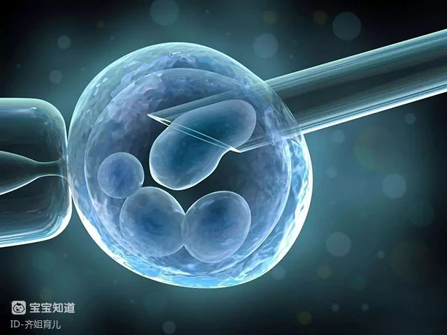 格鲁吉亚助孕流程_输卵管堵塞做试管婴儿_试管婴儿适应症