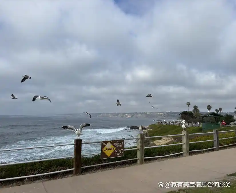 国外生子证件准备_选择美国月子中心_避坑攻略