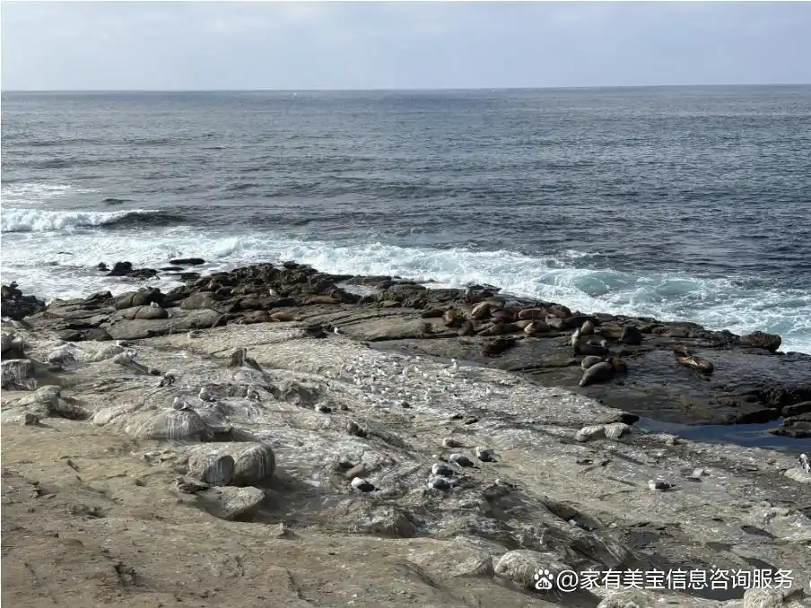 避坑攻略_国外生子证件准备_选择美国月子中心