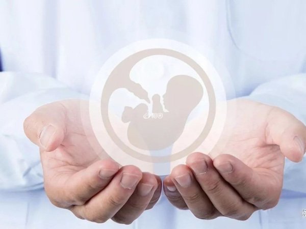 格鲁吉亚助孕机构有很多